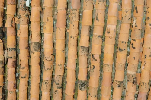 tuile endommagées à cause d'une catastrophe naturelle